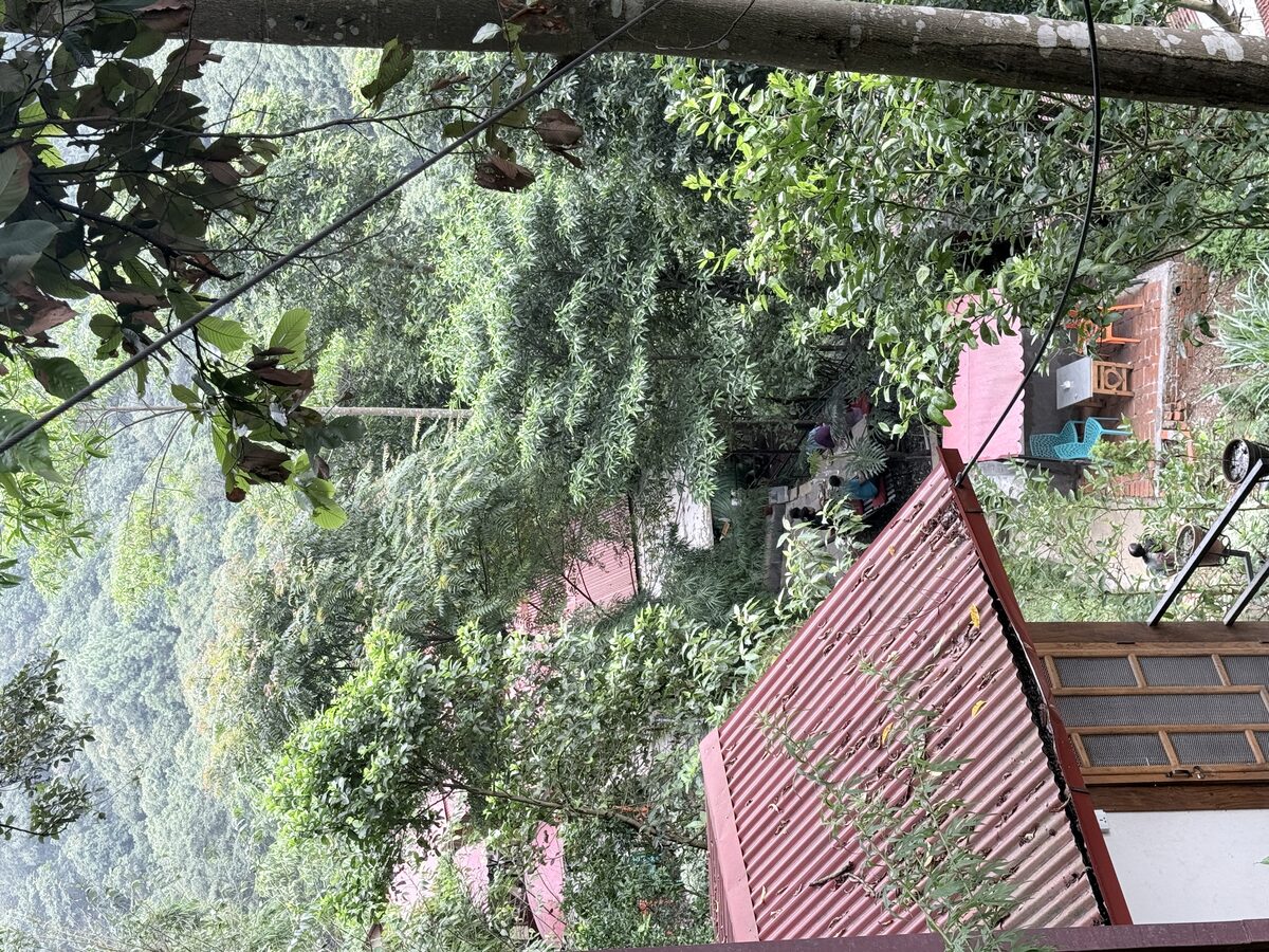 Resort landscape